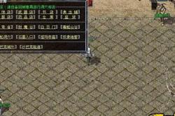 好玩的额传奇世界私服_热血传奇私服改写版