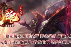 传奇私服师技能_传奇私服师技能全解析