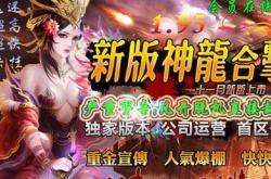 传奇私服怎么找不到ip,传奇私服无法找到IP该怎么办