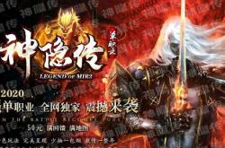 176倚天传奇私服网，独特游戏平台