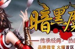 传奇私服，宝宝与火墙的陪伴之旅