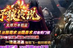 网站搜索传奇私服总是一个网站,搜索传奇私服的独家网站